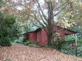Turkeys Nest Rainforest Cottage - Accommodation in Brisbane