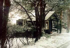 Waldheim Cabins - Accommodation Mount Tamborine