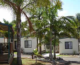 Port Macquarie Holiday Cabins - thumb 0