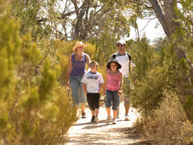 Pepper Tree Cottage - Accommodation Adelaide