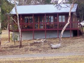 Ivybrook Vineyard Cottage - Port Augusta Accommodation