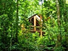 Fur'N'Feathers Rainforest Tree Houses - thumb 0