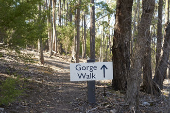 Yering Gorge Cottages By The Eastern Golf Club - Accommodation Mermaid Beach 14