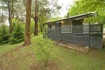Hill 'N' Dale Farm Cottages - Tweed Heads Accommodation 12