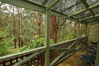 Hill 'N' Dale Farm Cottages - Accommodation Port Macquarie 13