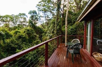 Kondalilla Eco Resort - Accommodation Sunshine Coast