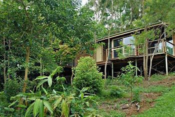 Kondalilla Eco Resort - Accommodation Port Macquarie 22