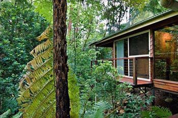 Kondalilla Eco Resort - Tweed Heads Accommodation 23