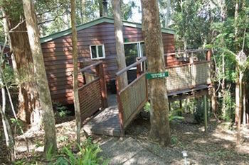 Kondalilla Eco Resort - Tweed Heads Accommodation 27