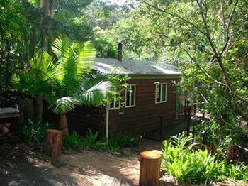 Kondalilla Eco Resort - Accommodation Tasmania 30