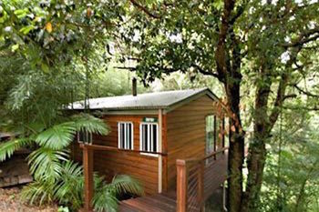 Kondalilla Eco Resort - Tweed Heads Accommodation 35