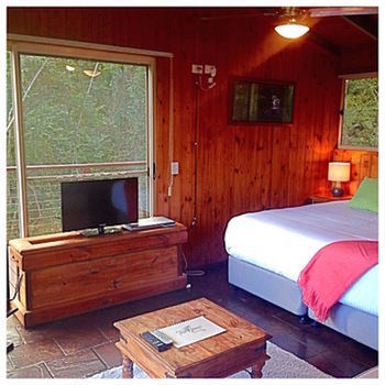 Kondalilla Eco Resort - Tweed Heads Accommodation 50