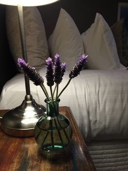 Lilies Luxury Retreats - Tweed Heads Accommodation 51