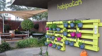 Habitat HQ - Hostel - Tweed Heads Accommodation 24