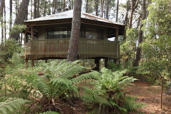 Federation Gardens & Possums Hideaway - Accommodation Tasmania 8