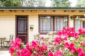 Federation Gardens & Possums Hideaway - Accommodation NT 19