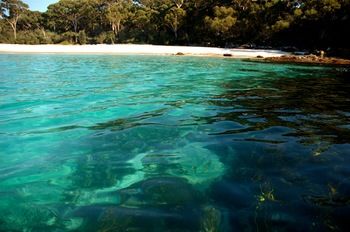 Worrowing At Jervis Bay - Accommodation Noosa 98