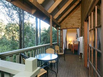Barrington Wilderness Cedar Lodge Accommodation - thumb 5