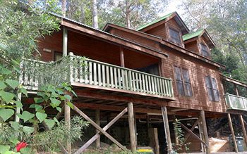 Barrington Wilderness Cedar Lodge Accommodation - Accommodation NT 12