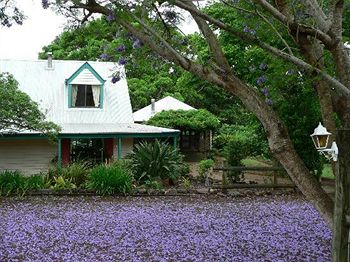 The African Cottage - Accommodation NT 6