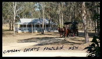 Cam-Way Estate - Accommodation Tasmania 31