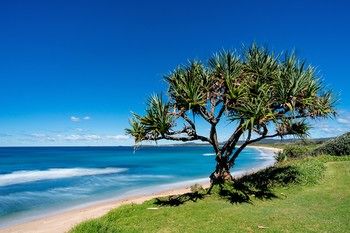 North Coast Holiday Park Corindi Beach - Accommodation Port Macquarie 16