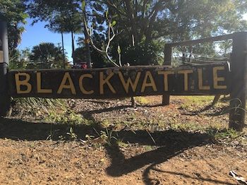 Blackwattle Farm B&B And Farm Stay - Accommodation NT 10