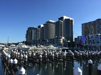 Apartments Melbourne Domain - Docklands - Accommodation Port Macquarie 4