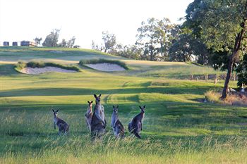 Riverside Oaks Golf Resort - Accommodation Tasmania 1