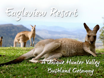 Eagleview Resort - Accommodation NT 45