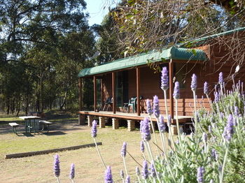 Hunter Hideaway Cottages - Accommodation Mermaid Beach 4