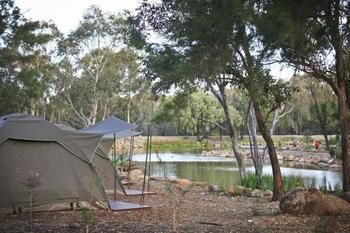 Billabong Camp, Taronga Western Plains Zoo - thumb 3