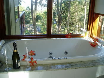 Montville Oceanview Cottages - Accommodation NT 7