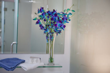 Grand Hotel Wyong - Great Ocean Road Tourism