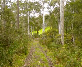 Huon Valley Eco Wilderness Retreat - Accommodation Sydney 5