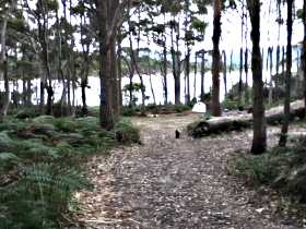 Camping At Bruny Island - Accommodation Mount Tamborine 1