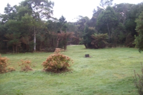 Macquarie Heads Camping Ground - Accommodation Sydney 1