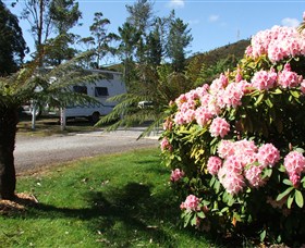 Zeehan Bush Camp  and Caravan Park - Accommodation Tasmania