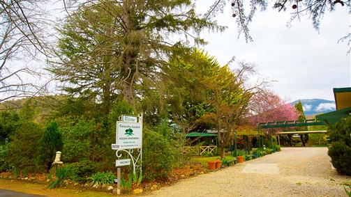 Carawatha Gardens - Accommodation Mount Tamborine 2
