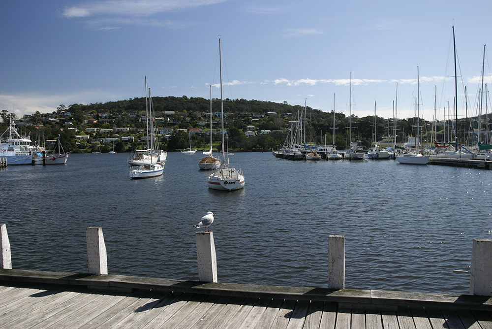 Bellehaven Tasmania - Grafton Accommodation 6