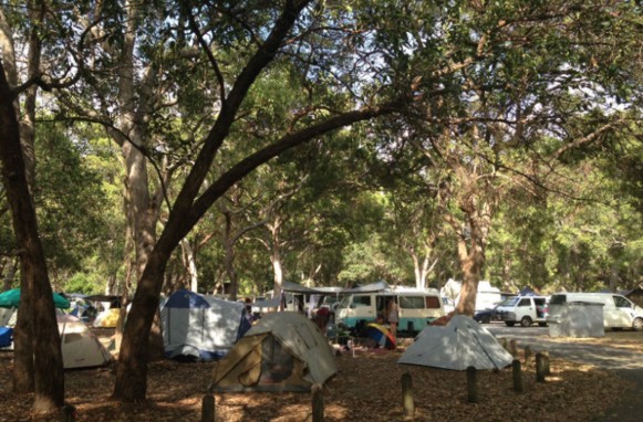 Adder Rock Camping Ground - Surfers Gold Coast