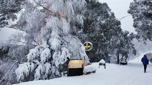 Feathertop Alpine Lodge - Accommodation Sydney 0