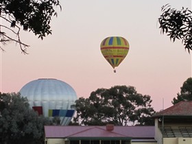 Barossa Valley Tourist Park - Accommodation Bookings