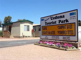 BIG 4 Ceduna Tourist Park - Dalby Accommodation