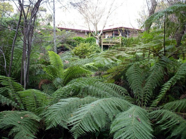 Adelaide Hills Bed & Breakfast Accommodation - thumb 3