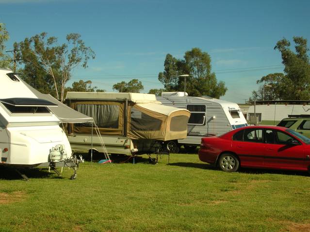 Crocodile Caravan   Camping Park - Wagga Wagga Accommodation