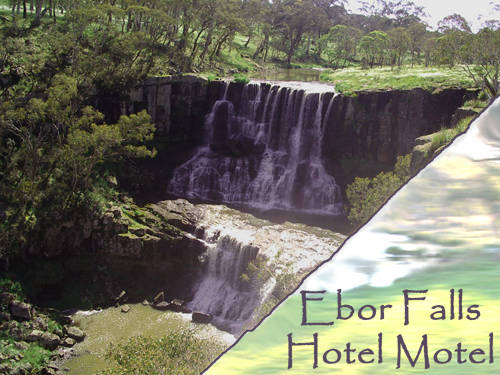 Ebor Falls Hotel Motel - thumb 4