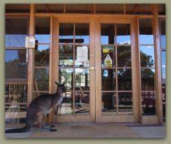 Kangaroo Island Wilderness Retreat - thumb 1