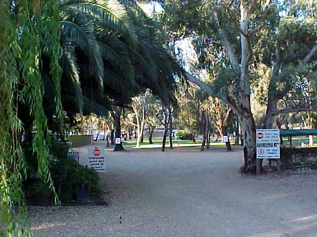 Kingston-On-Murray Caravan Park - Geraldton Accommodation
