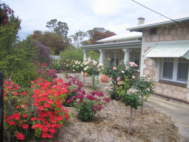MacDonnell House Naracoorte Cottages - Casino Accommodation